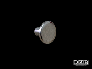 Safari Hinge Pivot Rivet - VW Bus