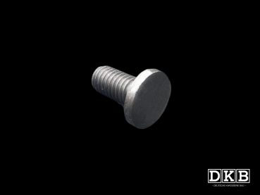 Taillight Bracket Bolt - Zwitter & Oval Beetle