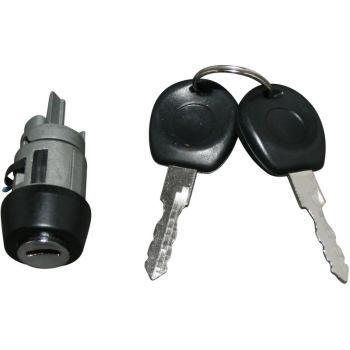 Lock Cylinder VW Bus T4 09/90-09/98 | OE 357905855B