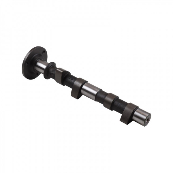 Nockenwelle-W120-engle-typ1-motor