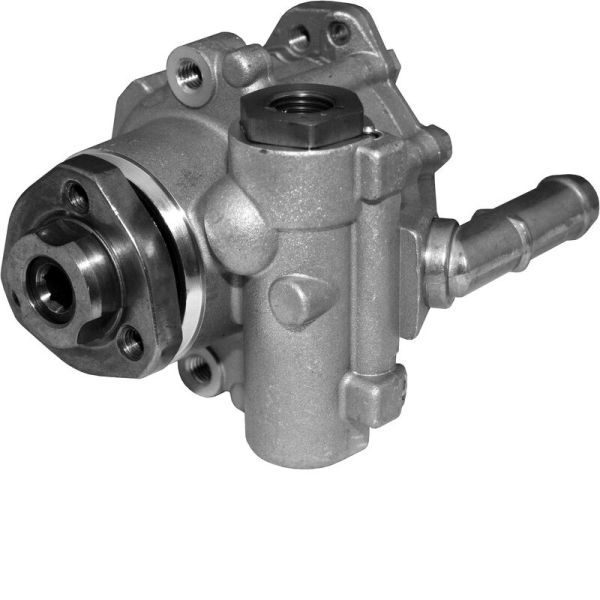 Hydraulic Pump VW Golf 1/Bora 09/98- | OE 1J0422154H